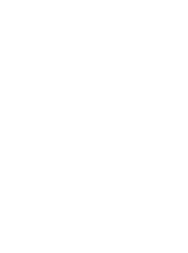 Developer Logo